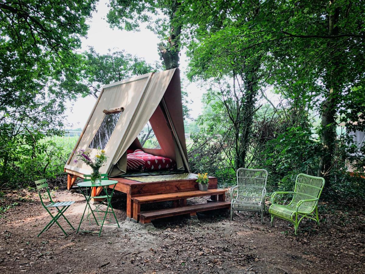 Eco-Camping De Helleborus, Yurt, Bell & Safari Tent, Pipo, Caravans, Dorms And Units Groningen Kültér fotó