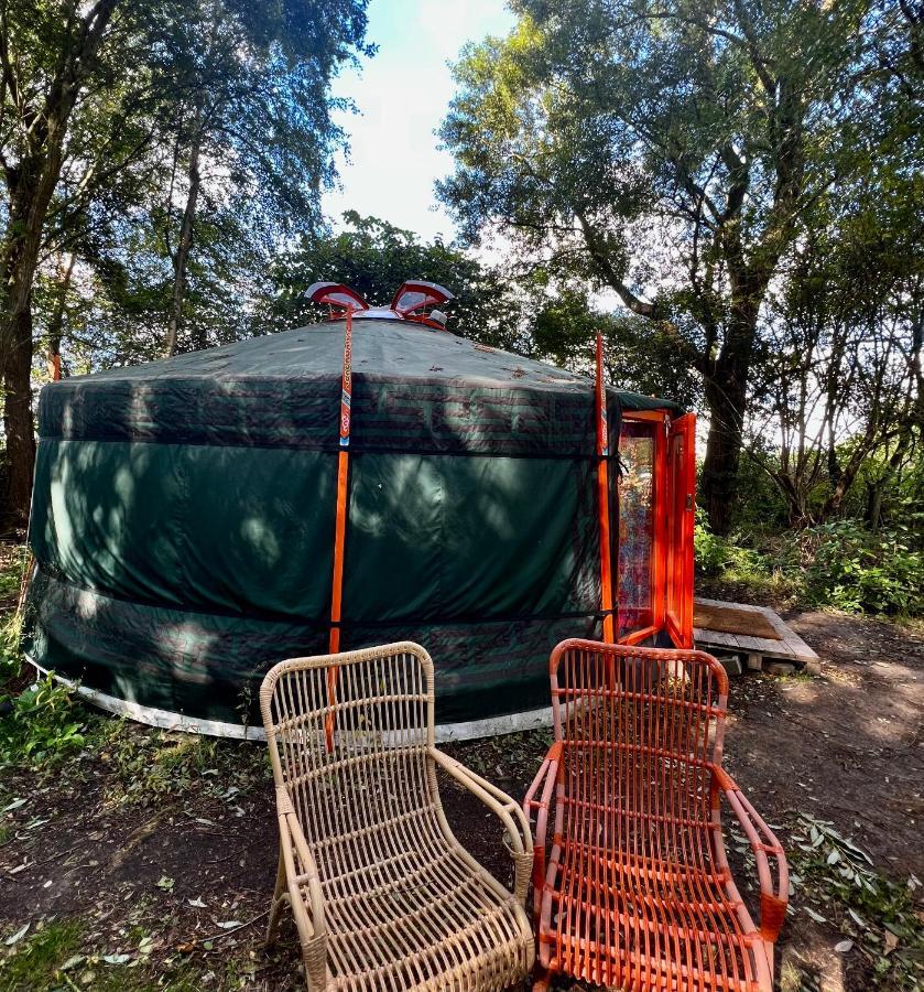 Eco-Camping De Helleborus, Yurt, Bell & Safari Tent, Pipo, Caravans, Dorms And Units Groningen Kültér fotó